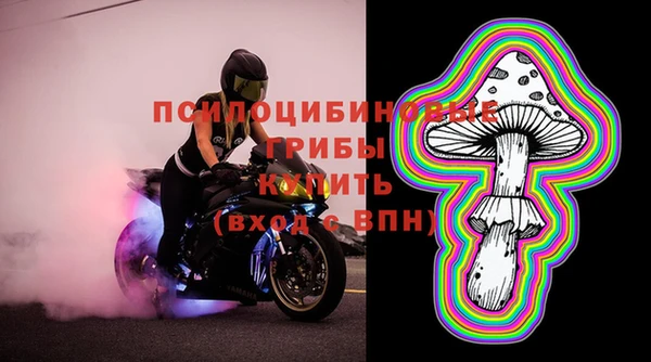 соль ск Заводоуковск
